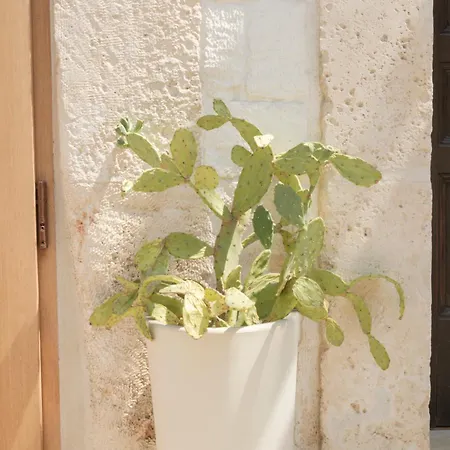 Casa Flami 5 Lejlighed *