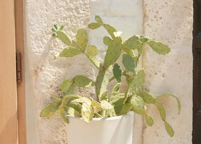 Casa Flami 5 아파트 *